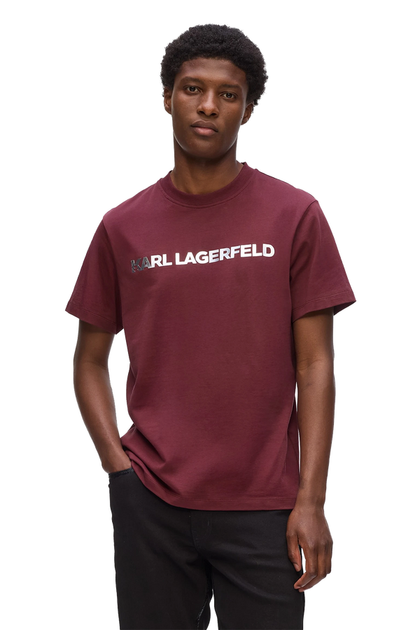 Essential Shiny Logo T-Shirt*